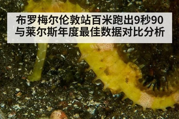 布罗梅尔伦敦站百米跑出9秒90 与莱尔斯年度最佳数据对比分析